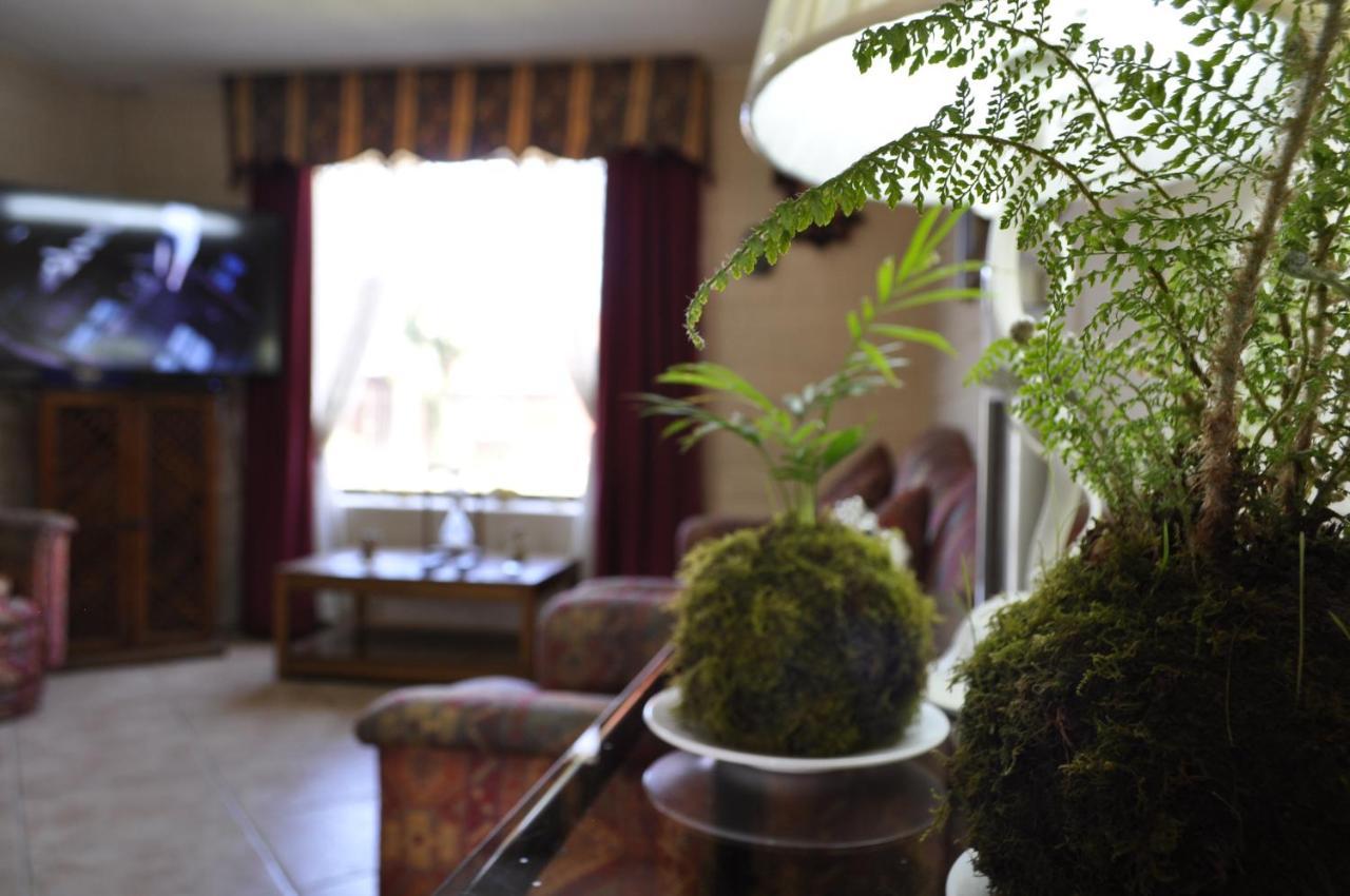 Santa Elena De Maipo Home Темуко Экстерьер фото